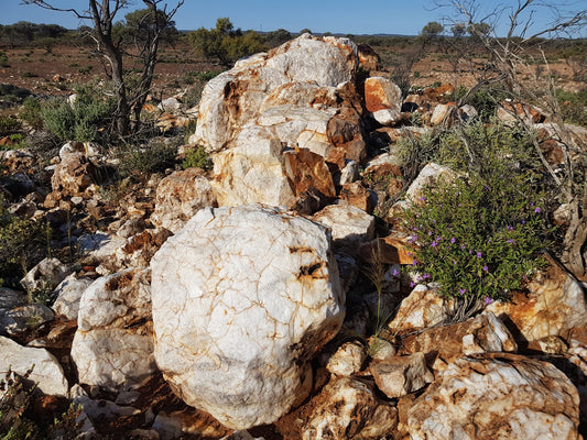 Quartz Veins that HAVE GOLD in them