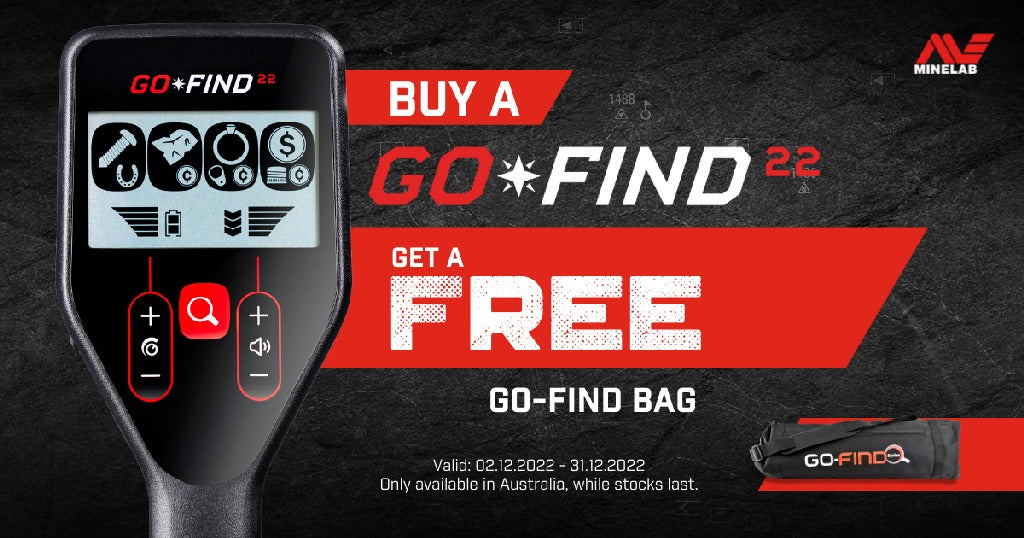 Go FIND 22