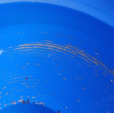 Blue Bowl VortexPro with Upgraded Pump & Hose