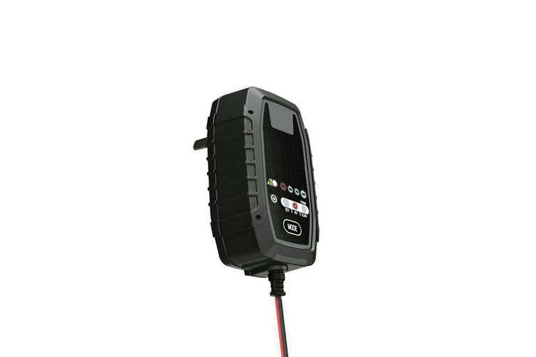 6V SLA Battery Charger for Dome Top Batteries