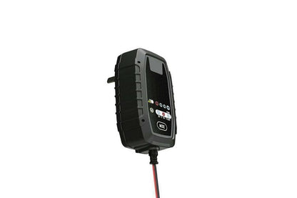 6V SLA Battery Charger for Dome Top Batteries