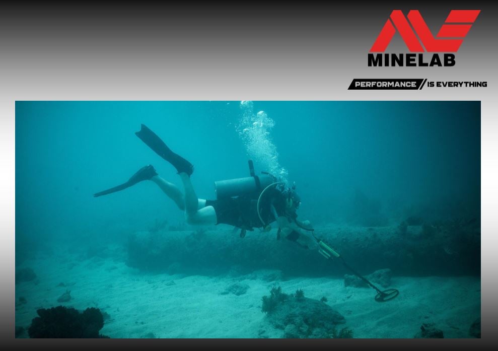 Minelab Excalibur II Reeds Prospecting WA